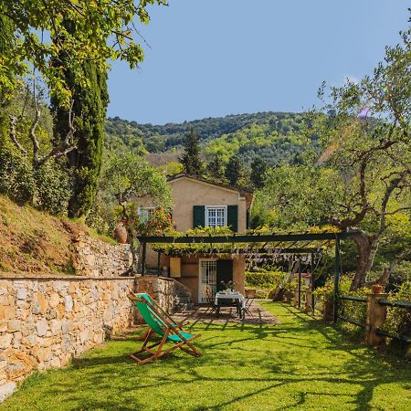 Holiday Home Il Glicine By Interhome Montemagno  Dış mekan fotoğraf