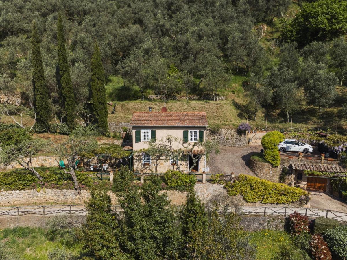 Holiday Home Il Glicine By Interhome Montemagno  Dış mekan fotoğraf